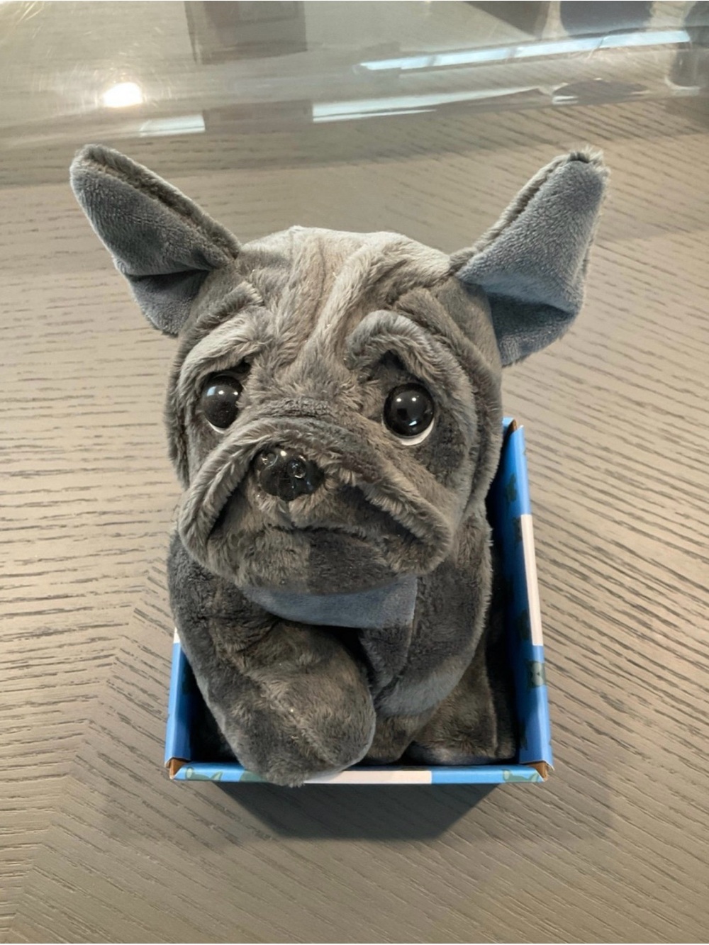Huggable Gray French Bulldog